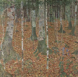 Forêt de bouleaux